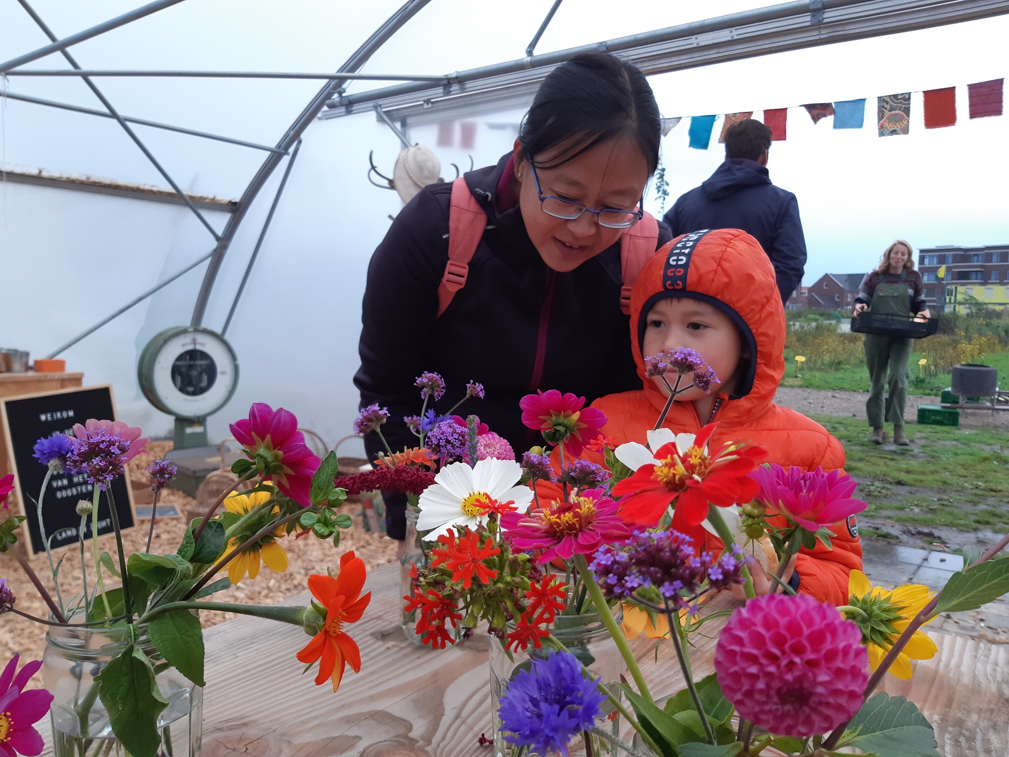 bloemenpluktuin in amersfoort vathorst. in de zomer staat het hier vol bloemen en komt menig bezoeker langs voor een verse geplukte bos
