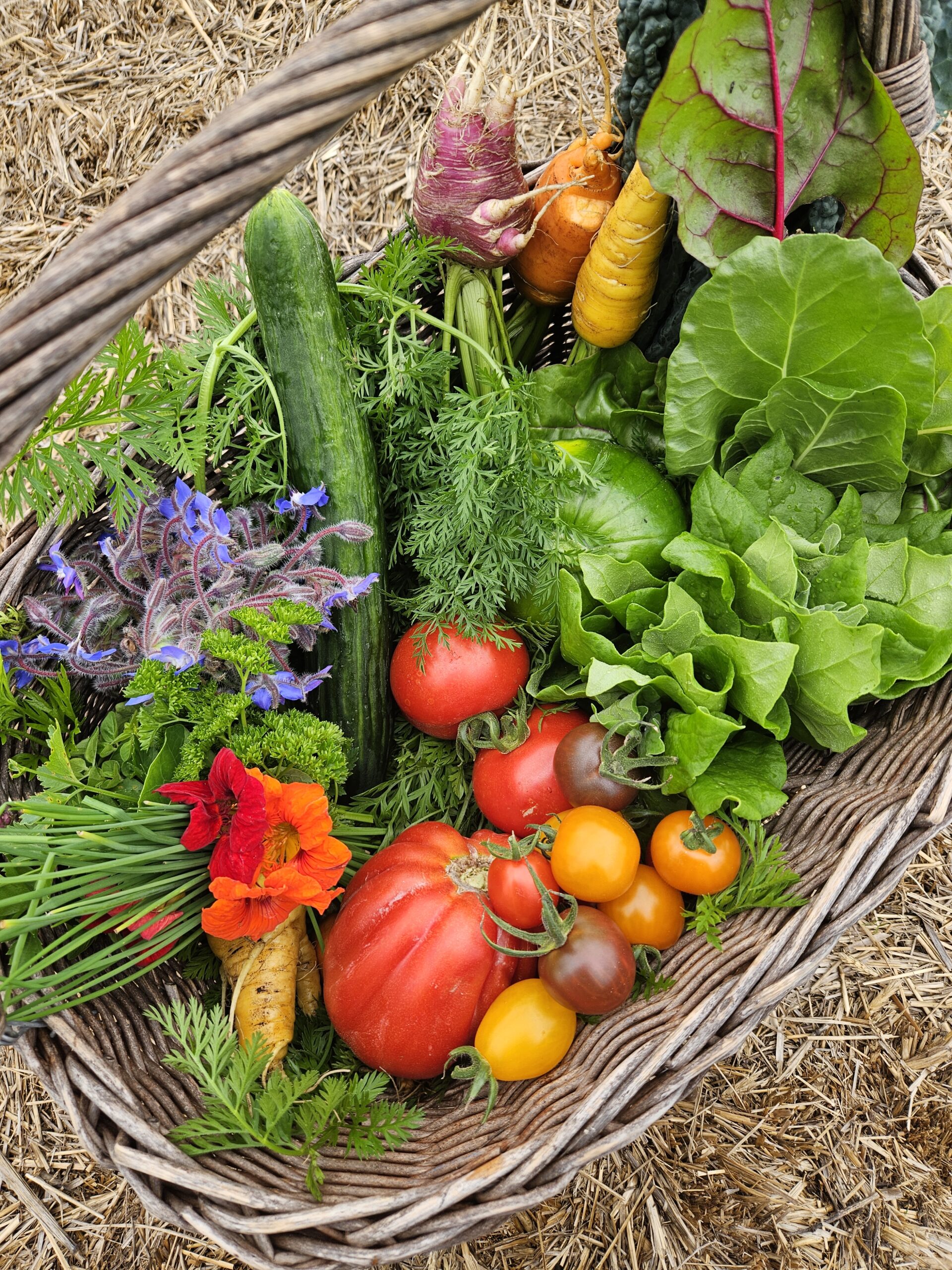 Zelf je groente kiezen vanuit de tuin. Gezonde voeding is de basis voor een gezond leven.