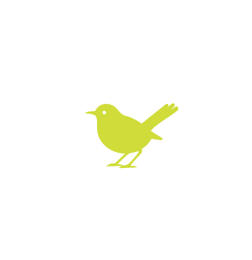 Laakzijde vogel Groen