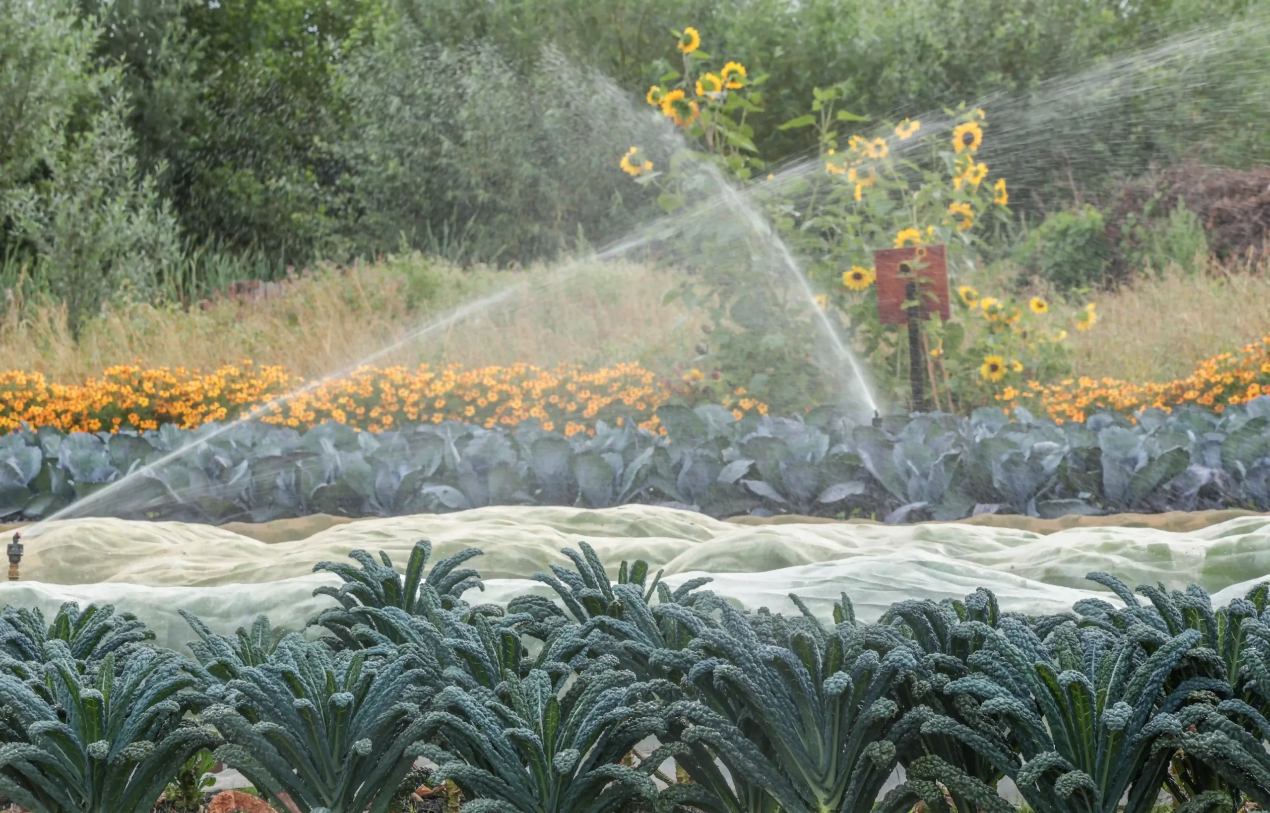 Land in Zicht Tuinderij Dagbesteding Amersfoort