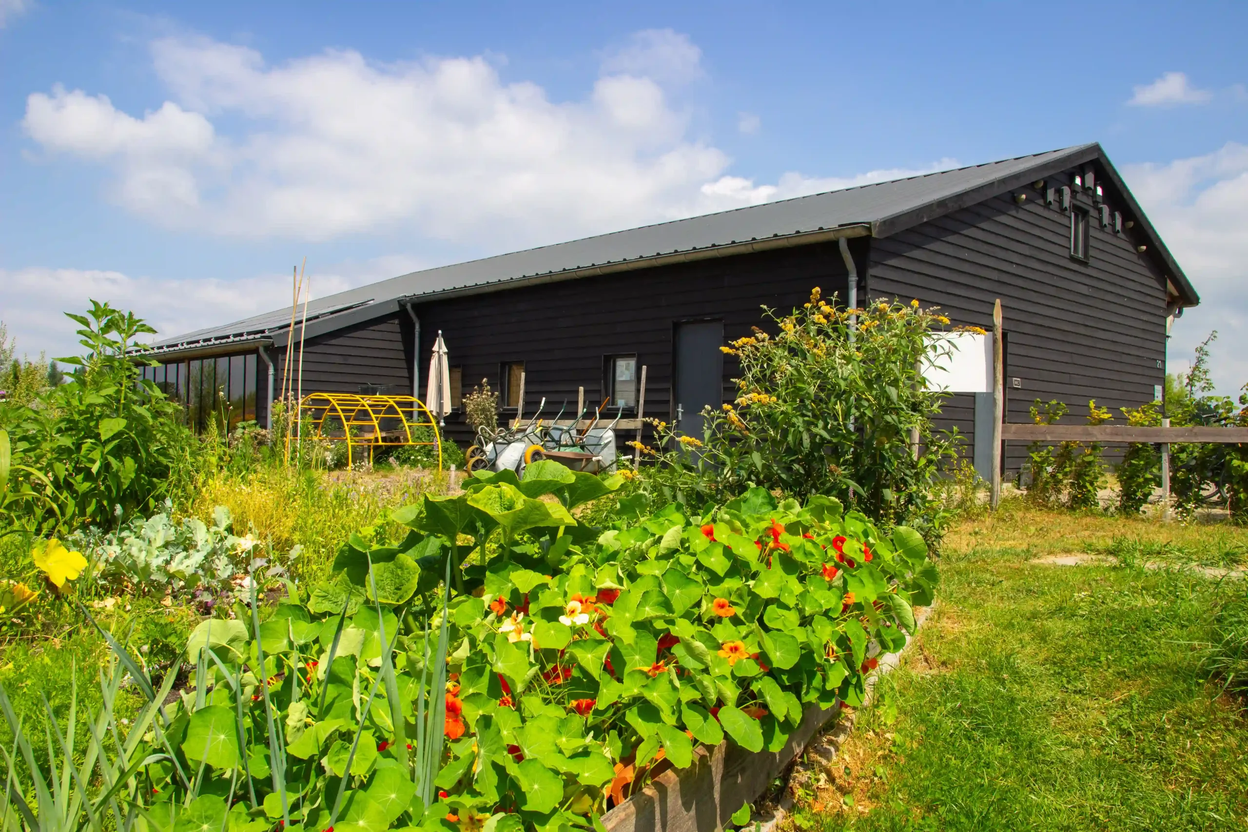 Moestuin Laakzijde