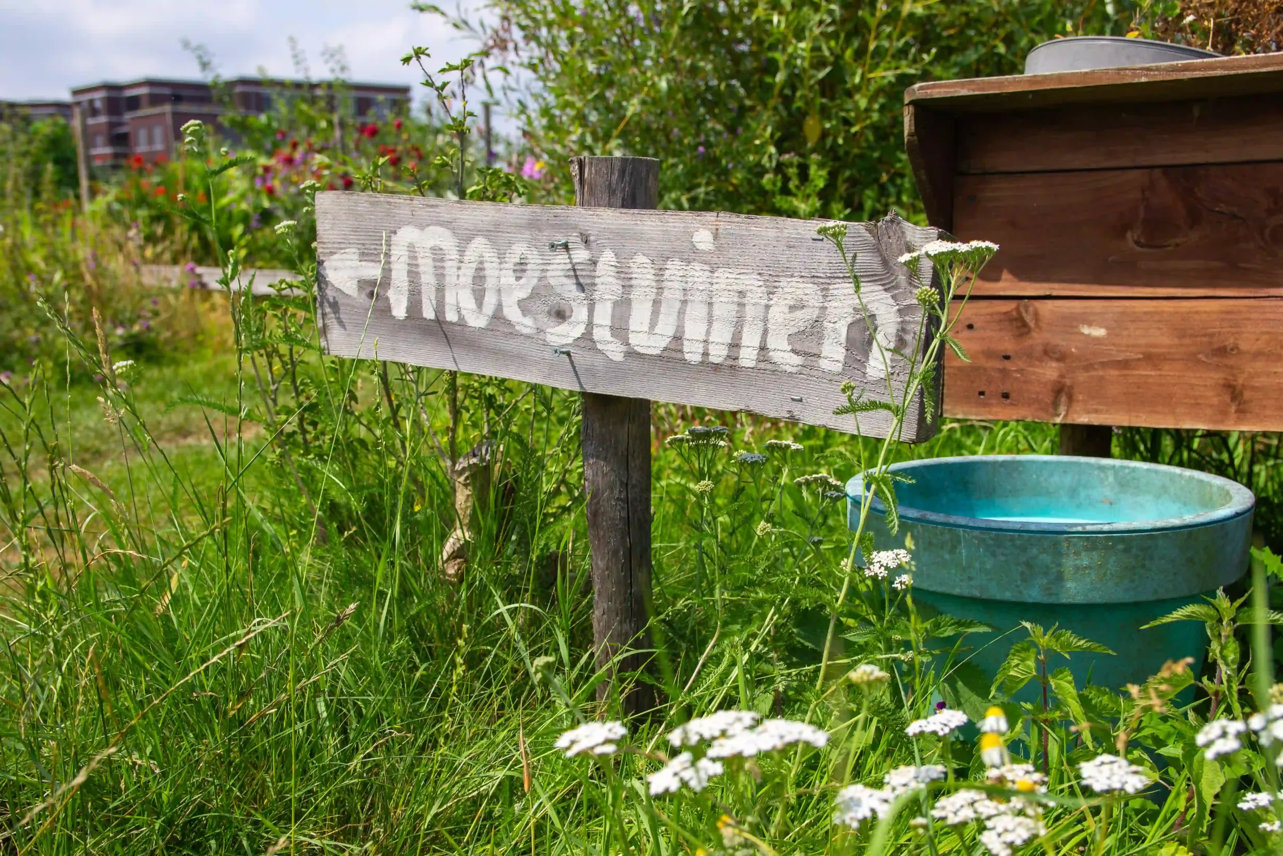 Moestuin Laakzijde Moestuin Laakzijde