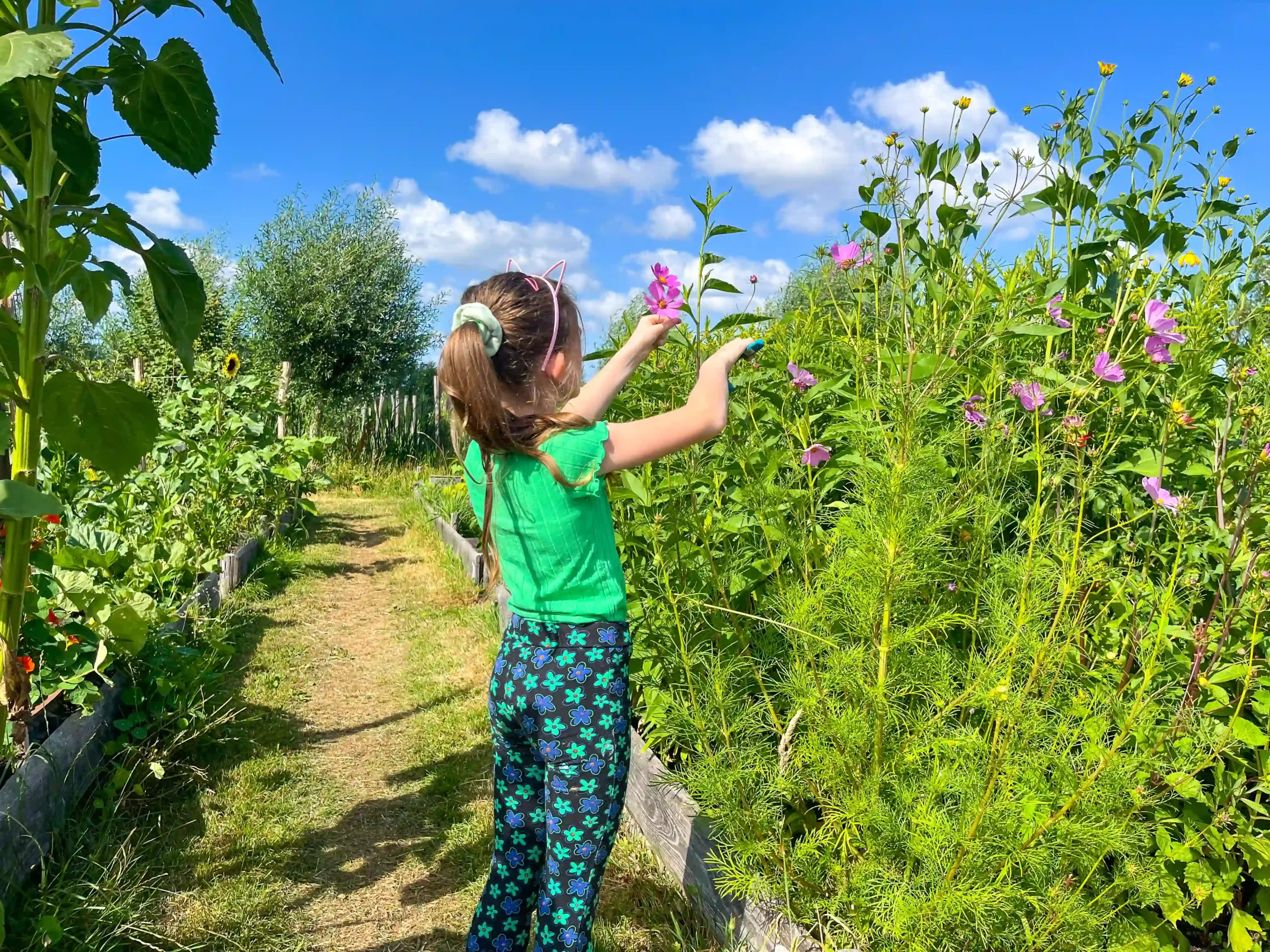 Moestuin Laakzijde Moestuin Laakzijde