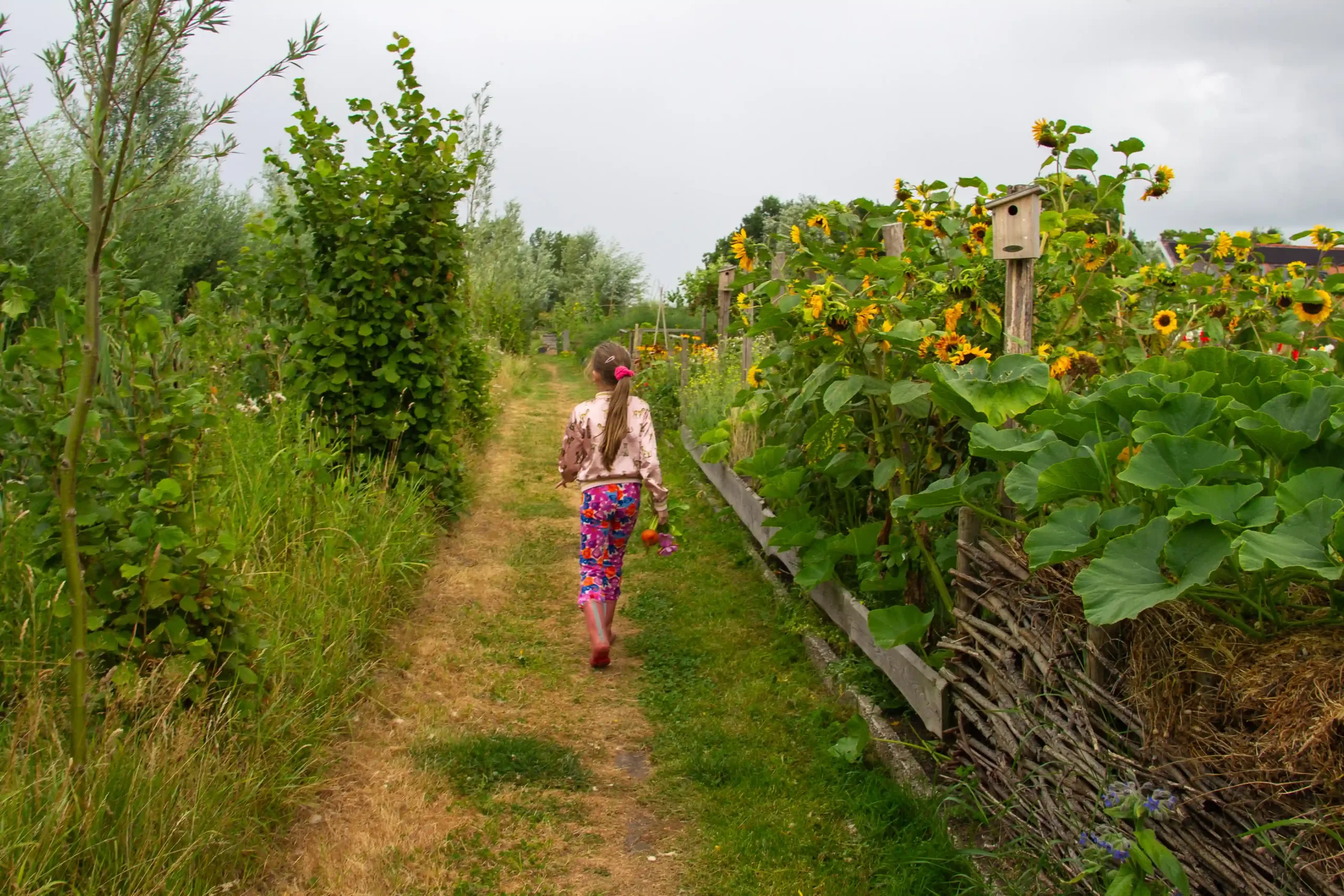 Moestuin Laakzijde Moestuin Laakzijde