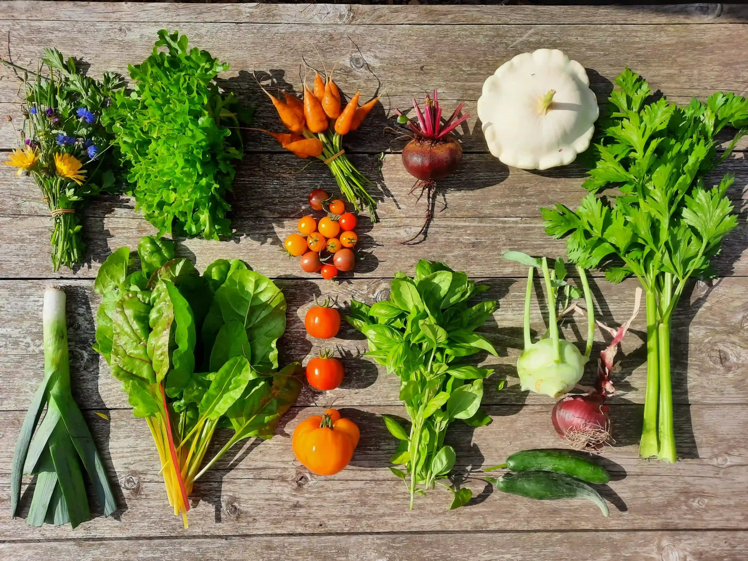 Tuinderij zomer oogst
